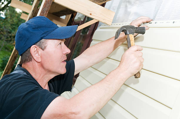 Best Vinyl Siding Installation  in Pine Island, MN